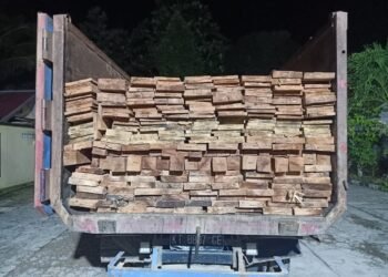 6,5 Kubik Kayu Ilegal Diamankan