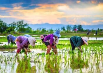 Kampung Sumber Agung Raih Juara 1 Lomba Desa/Kampung Tingkat Provinsi Kaltim 2021