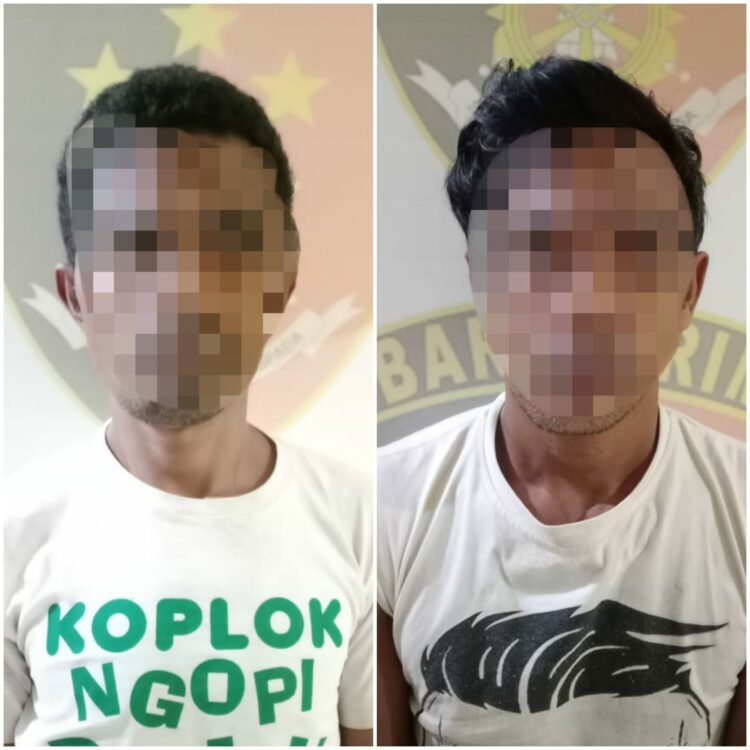 Dua Pelaku Pencurian Diringkus Polisi