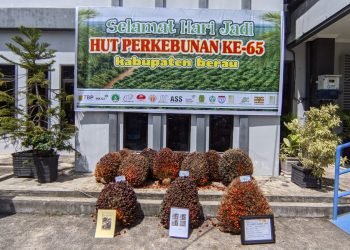 Nutrisi Minyak Kelapa Sawit, Lita Handini : Pertahankan Hasil Minyak Sawit Lokal Untuk Pertumbuhan Generasi Maju