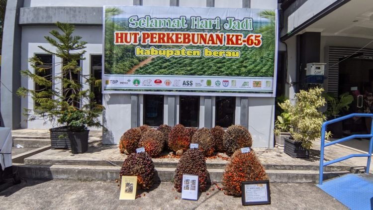 Nutrisi Minyak Kelapa Sawit, Lita Handini : Pertahankan Hasil Minyak Sawit Lokal Untuk Pertumbuhan Generasi Maju