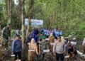 Bupati Berau Tanam 1.000 Pohon Mangrove Di Teluk Semanting