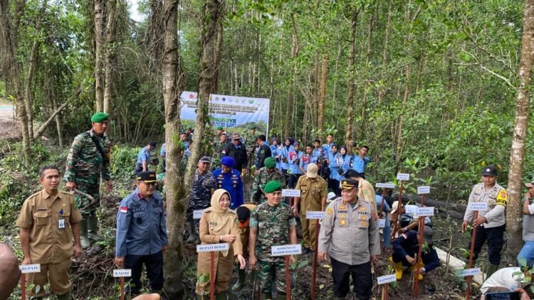 Bupati Berau Tanam 1.000 Pohon Mangrove Di Teluk Semanting