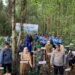 Bupati Berau Tanam 1.000 Pohon Mangrove Di Teluk Semanting