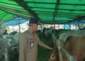 Jelang Idhul Adha, Distanak Sidak Hewan Kurban