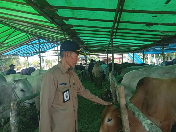 Jelang Idhul Adha, Distanak Sidak Hewan Kurban