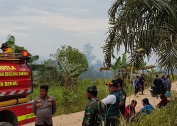 Pantau Pengendalian Karhutla di Labanan, Wabup Ingatkan Pencegahan Dini Digalakkan
