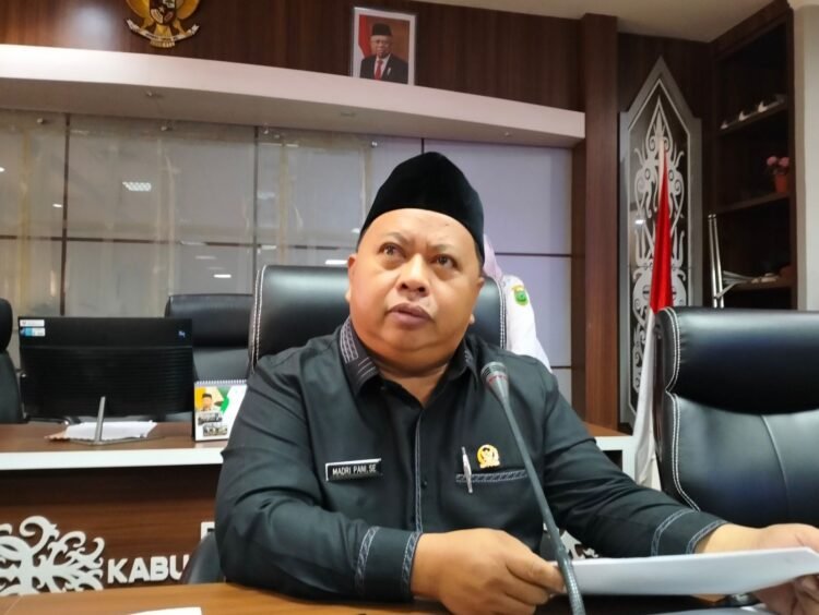 Madri Pani Inginkan Pengawasan Tambang Perlu Ditingkatkan