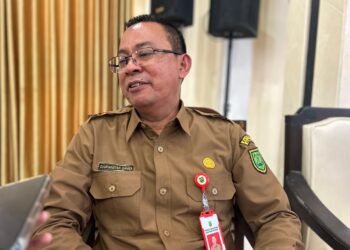 Kenaikan Pajak PPN 12 Persen Diharap Tak Membebankan Masyarakat