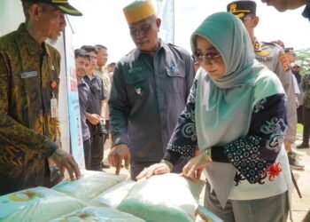 Hadiri Syukuran Panen Padi Di Buyung-Buyung, Bupati Sri Juniarsih Mas Juga Serahkan Alsinta