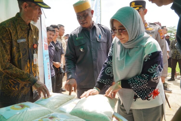 Hadiri Syukuran Panen Padi Di Buyung-Buyung, Bupati Sri Juniarsih Mas Juga Serahkan Alsinta
