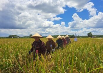 DPRD Harapkan Sapras Buat Sektor Pertanian Terus Di Tingkatkan