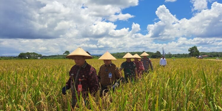 DPRD Harapkan Sapras Buat Sektor Pertanian Terus Di Tingkatkan