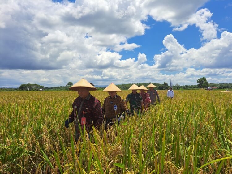 DPRD Harapkan Sapras Buat Sektor Pertanian Terus Di Tingkatkan