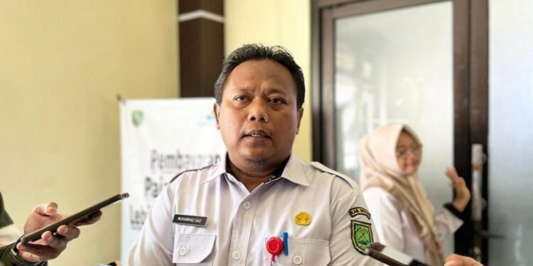 ‎Potensi Besar Belum Tergarap, Kelay Didorong Jadi Motor Ekonomi Baru