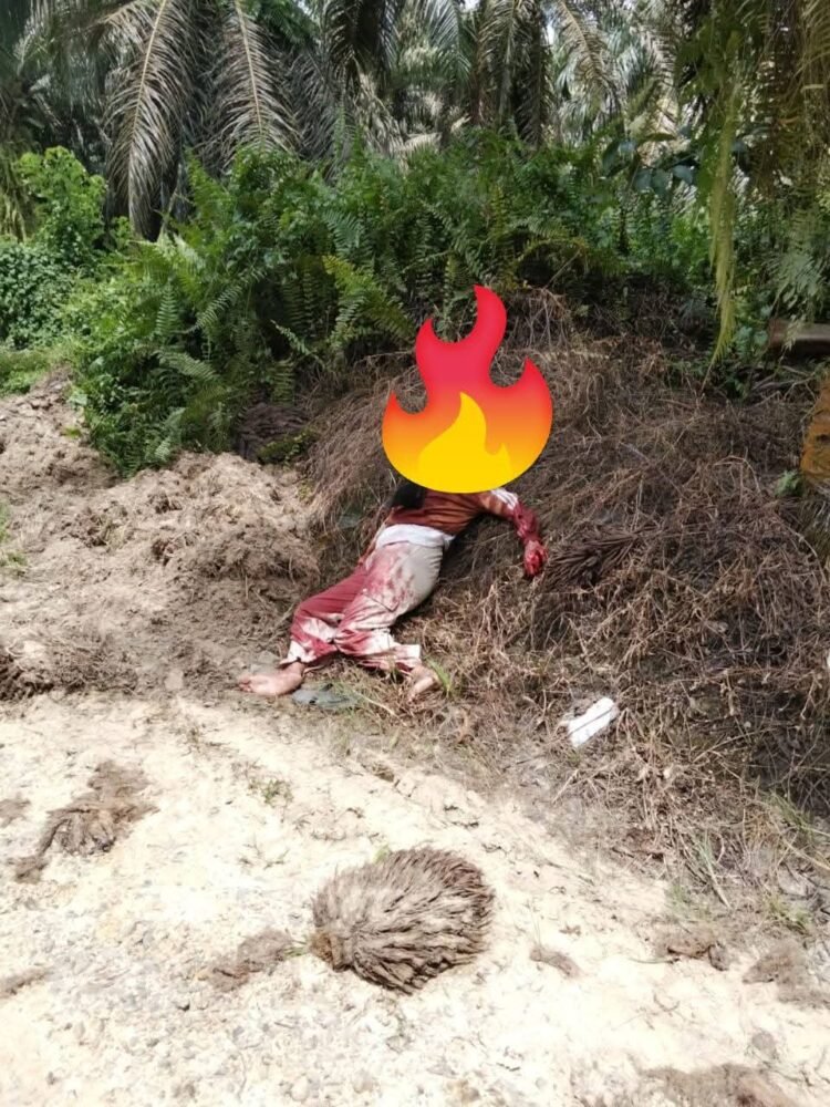 ‎Empat Jam Diburu, Terduga Pelaku Penganiayaan Wanita di Segah Berhasil Diamankan