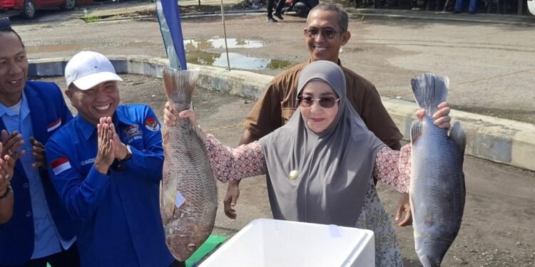 Pemkab Berau Siapkan Pasar Ikan Murah Keliling, Sasar Wilayah Pedalaman