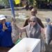 Pemkab Berau Siapkan Pasar Ikan Murah Keliling, Sasar Wilayah Pedalaman