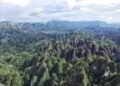 Berau Kejar Status Geopark Nasional, Asesmen Sangkulirang-Mangkalihat Jadi Penentu