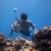 Biota Dilindungi Diburu di Maratua, Pemkab Berau Perintahkan Pengawasan Diperketat