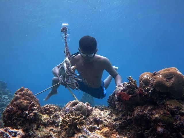 Biota Dilindungi Diburu di Maratua, Pemkab Berau Perintahkan Pengawasan Diperketat